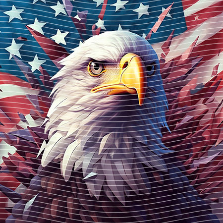 20oz integrate-EJ-10521